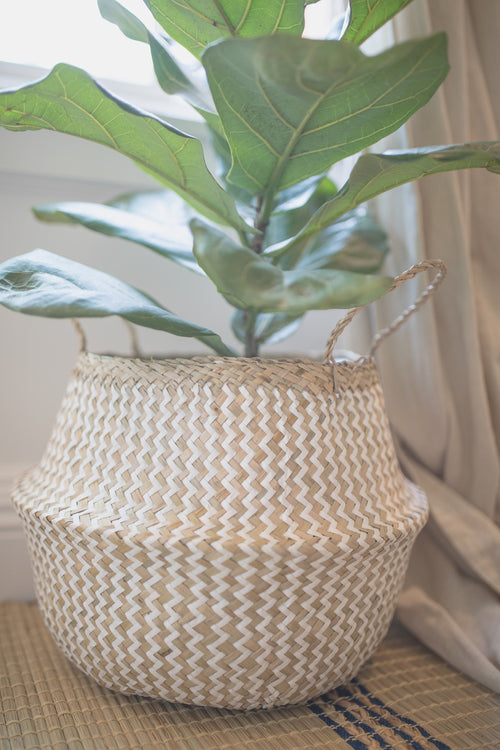 NATURAL ZIG ZAG PATTERN BELLY BASKET FOR PLANTERS-BELLY BASKETS-BRAIDED CROWN